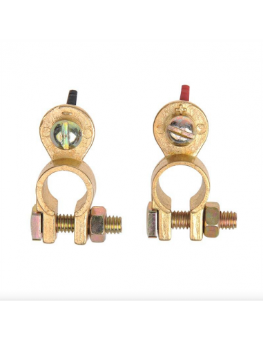 Bornes positives / négatives pour connexion par laveuse Pro Plus