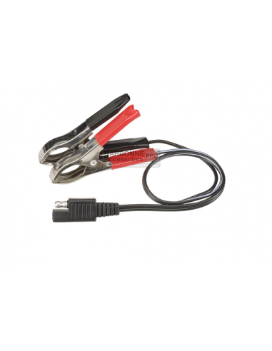 Manutenção da bateria do painel solar 4,8 W