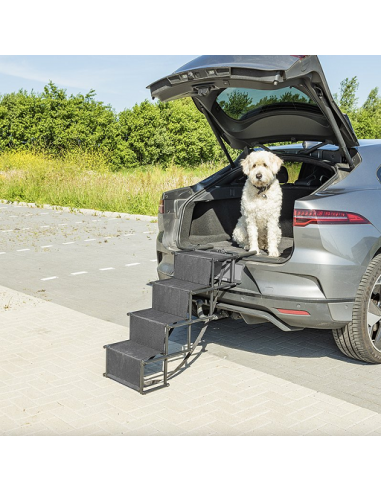 Folding pet ladder