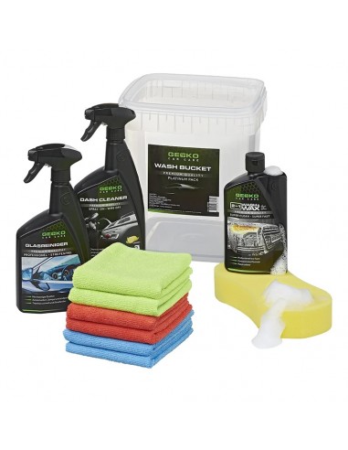 Pacchetto Platinum del valore di Gecko - Pro Plus