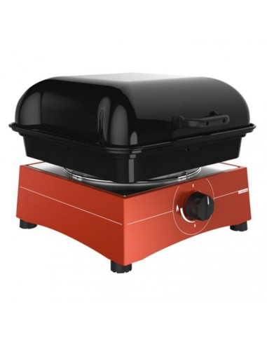 Barbecue multifonctionnel. Midland