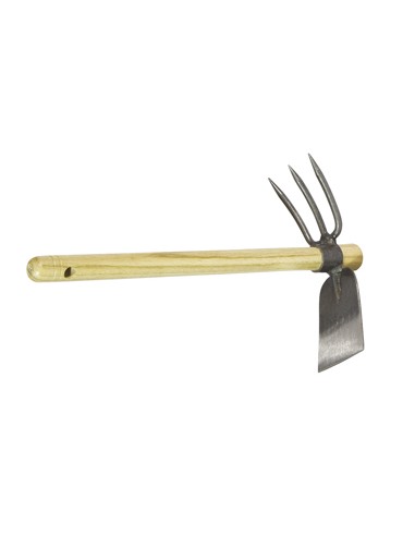 Zacho with rake and hoe with wooden handle