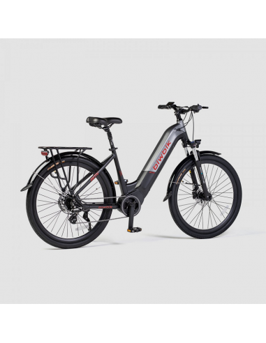 Bicicleta Eléctrica Aktiv