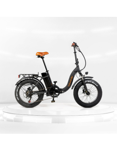 Capri Black Electric Bike