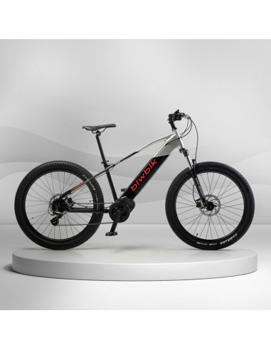 Kone Electrical Bike