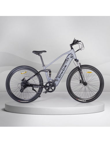 Willow Electrical Bike