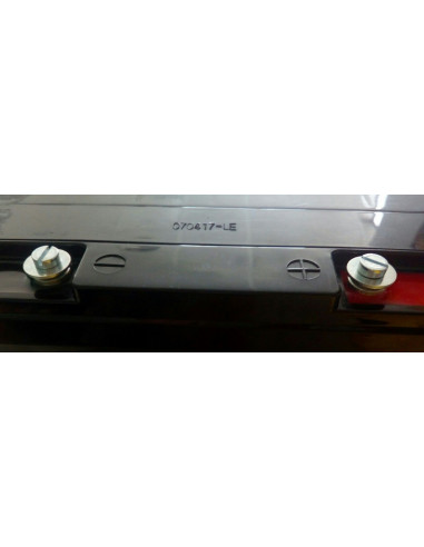 AGM Batteria di 20Ah Leoch