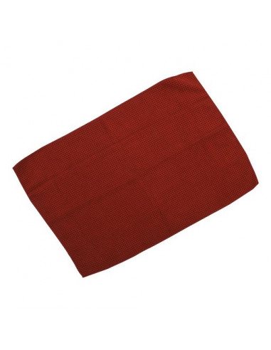 XL Mikrofaser Trockentuch 60x40cm ProPlus